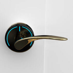 onity serene handle wing polished brass